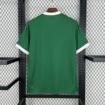 Palmeiras 2025 (Home Jersey)