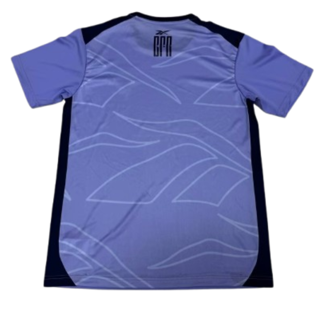 Botafogo 2025 (Training Jersey - Purple)